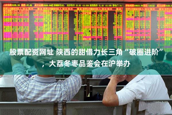 股票配资网址 陕西的甜借力长三角“破圈进阶”，大荔冬枣品鉴会在沪举办
